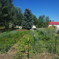 Cherry Mill Farm photo