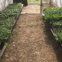 Cherry Mill Farm photo